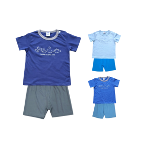 Baby Short Sleeve T-Shirt & Shorts Set (0-24 months)