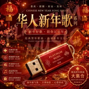 新年歌曲COLLECTION USB 8GB CNY Nostalgia happy new year untuk keretA SPEAKER rumah 000