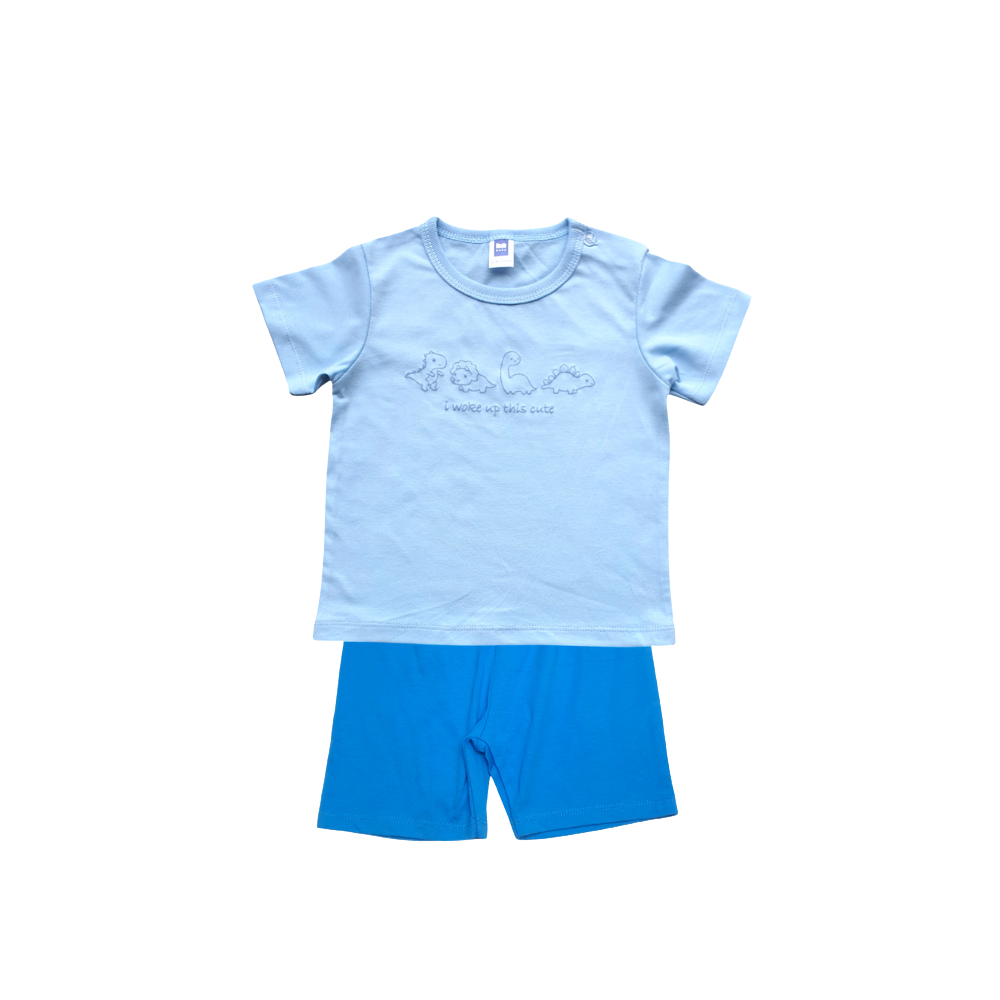 Boy Short Sleeve T-Shirt & Shorts Set