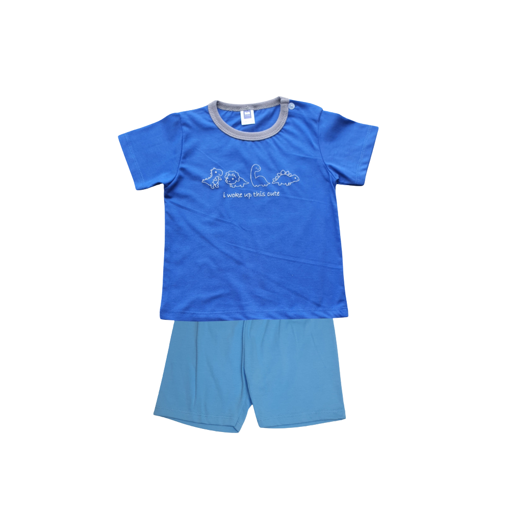 Boy Short Sleeve T-Shirt & Shorts Set - Image 3