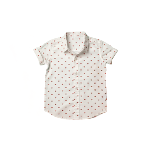 Short Sleeve Casual Shirt (Toddler Boys) - 2-3 Years, Watermelon