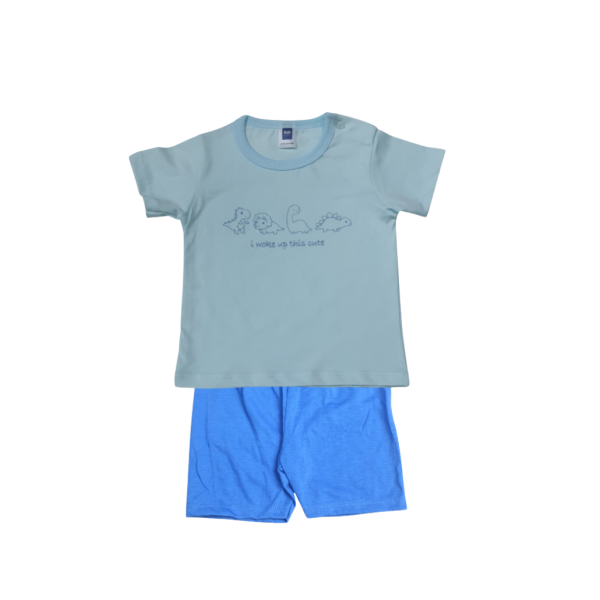 Baby Short Sleeve T-Shirt & Shorts Set (0-24 months) - Image 5
