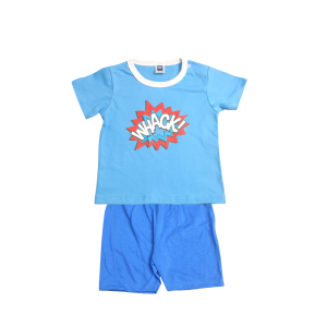Baby Short Sleeve T-Shirt & Shorts Set - 0-6 Months, Blue