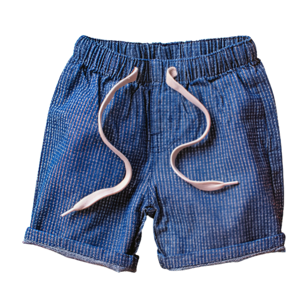 Toddler Boy Casual Shorts (2-5yrs) - Image 3