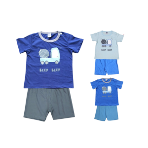 Baby Short Sleeve T-Shirt & Shorts Set (0-24 months)
